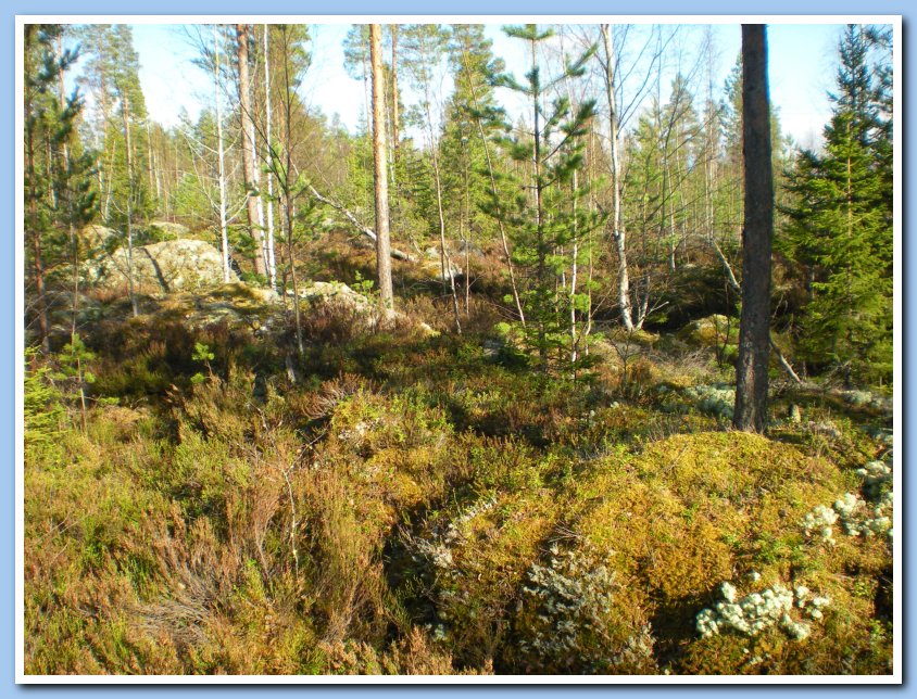 vatpakka 166